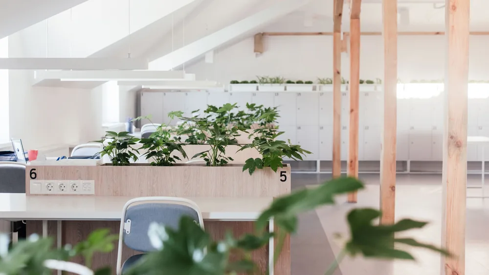 Empty attic office with timber posts, desk planters and white lockers